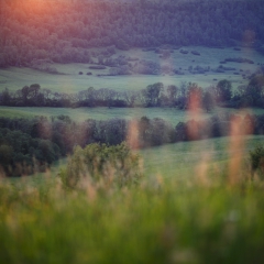 Paysage des Carpates Pologne