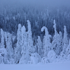 Riisitunturi en Finlande