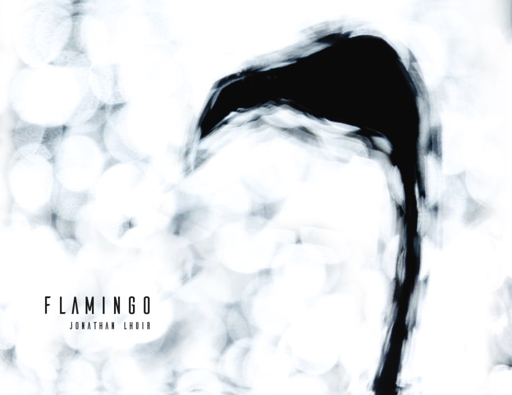 Flamingo_cover