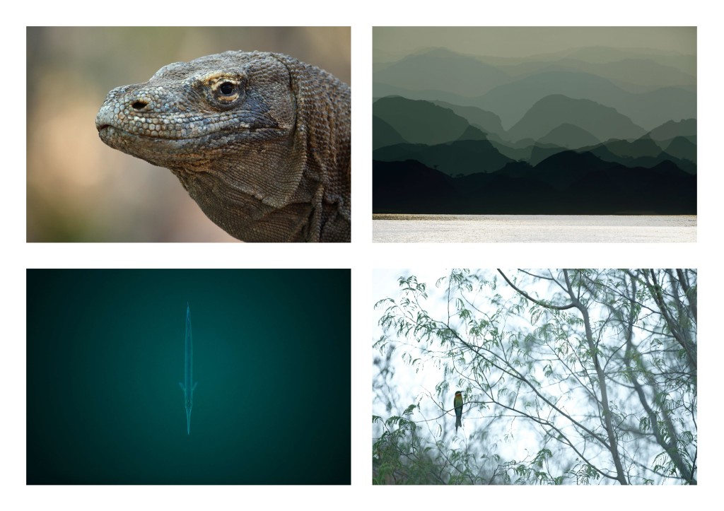 Komodo